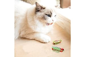 Cat Bug: Interactive Electronic Mini Robot Beetle Toy for Indoor Cat Play