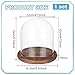 BENECREAT 5.5x5inch Eternal Transparent Flower Glass Cover, Cloche Dome Micro Landscape with Solid Wood Base for DIY Flower Craft, Christmas Decorations