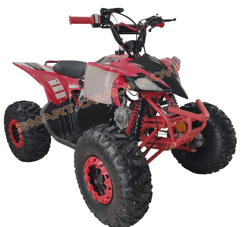 HHH 125cc ATV Fully Automatic Youth Sports ATV Gas Four Wheeler with Reverse and Big Tires 19"/18" Tires
