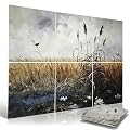 Siftary 6 Pack Art Acoustic Panels, 72x48 Inch Total Size, Self-Adhesive Flame-Retardant Polyester Felt Sound Absorbing Wall Panels for Home Office, Recording Studio & Gym