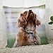 Poszewka na poduszkę Cocker Spaniel niestandardowa poszewka na poduszkę nowoczesna domowa dekoracyjna poszewka do salonu 45 x 45 cm, 40 x 40 cm A2020.4.29-poszewka na poduszkę 3,35 x 35 cm z jednej strony