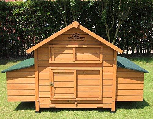 Pets Imperial® Savoy Hühnerstall mit Doppelnistkasten - 6 einzelne Nistplätze - 150 cm (B) x 100 cm (T) x 96 cm (H) – Bild 3