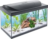 Tetra Starter Line 54 L - Set completo acquario con illuminazione LED, nero...