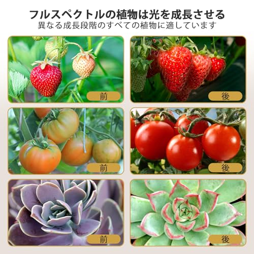 bseah 室内植物用成長ライト の商品画像 4