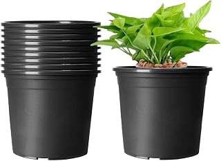 KAHEIGN 10pcs Plastic Flower Pots 16cm Thick Plant Pots Plant Container Indoor Garden Pot (Black)