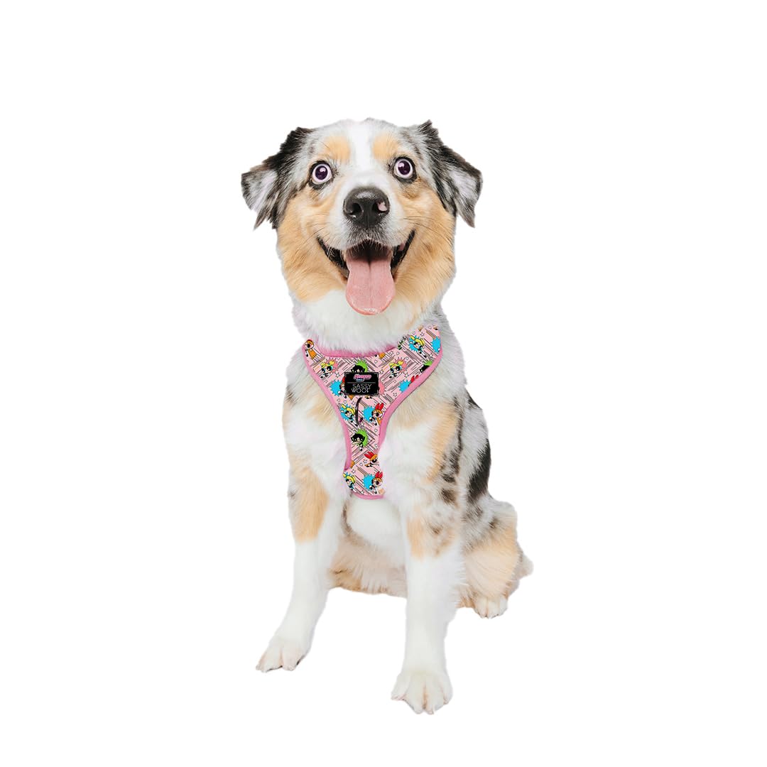 Amazing Finds Brought To Your Area!