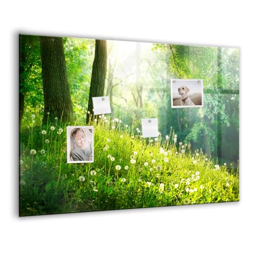 Tableau magnétique en verre 100x70cm avec imprimé nature printanière et aimants néodyme