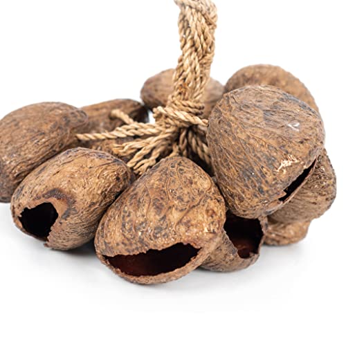 Stringed seed shaker, Wood - Image 3