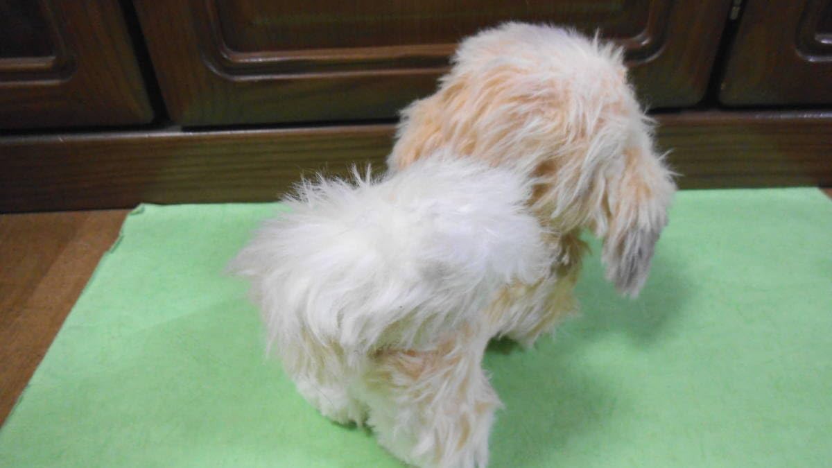 meiji 犬 ぬいぐるみ Amazon.co.jp: Meiji 懸賞品 ぬいぐるみ 犬 いぬ イヌ Tokyo JAPAN