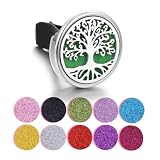 AEIOPRS 1 Pcs diffuseurs d'huiles essentielles pour voiture en acier inoxydable avec 10 tampons de rechange Aromathérapie irrégulière