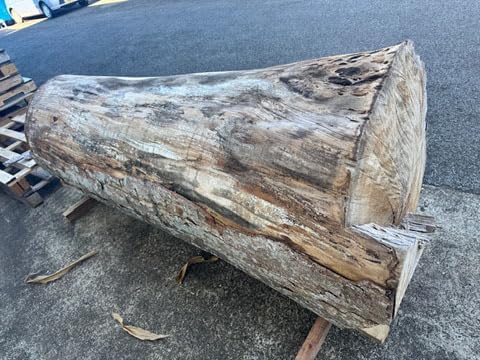 5-228 Wood Sho) Namewood, Keyaki, Super Huge Log, Raw Wood, 36.6 inches (930 mm) (Length 74.8 inches (1900 mm) x End Opening 36.6 inches (930 mm)