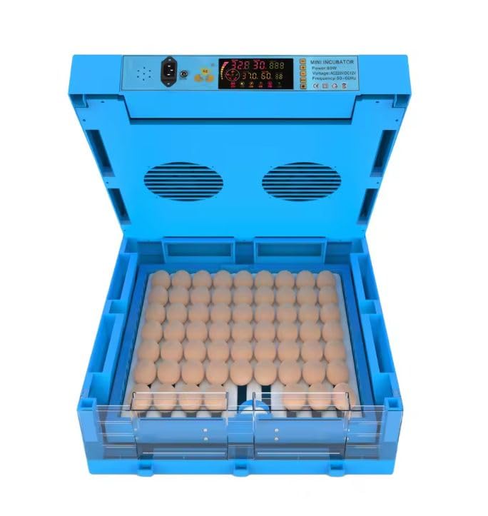 Image of 64 Egg Automatic Egg Incubator with Digital Temperature & Humidity Control | Auto Egg Turning Poultry Hatcher for Chicken, Duck, Goose & Quail