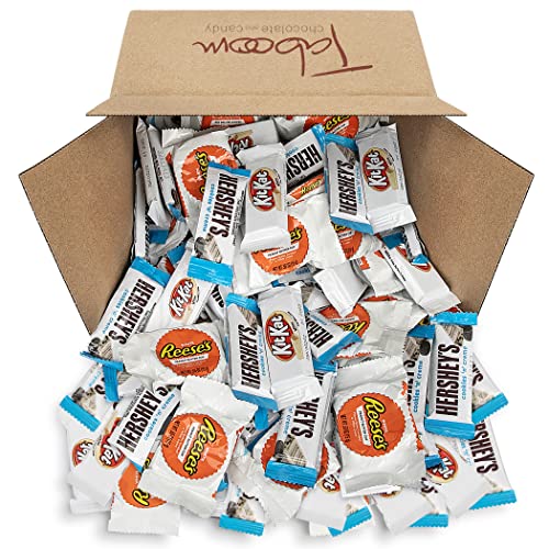 Taboom Bulk Chocolate, Individually Wrapped 5 LB Box Variety Pack with