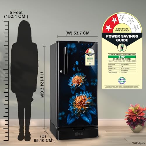 Image of LG 185 L, 2 Star, Direct Cool Single Door Refrigerator (GLD1925XOEF, Ebony Florance, Base stand with Drawer)