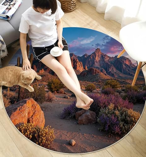 Tapis rond 200cm lavable en machine avec dossier antidérapant et poil bas doux