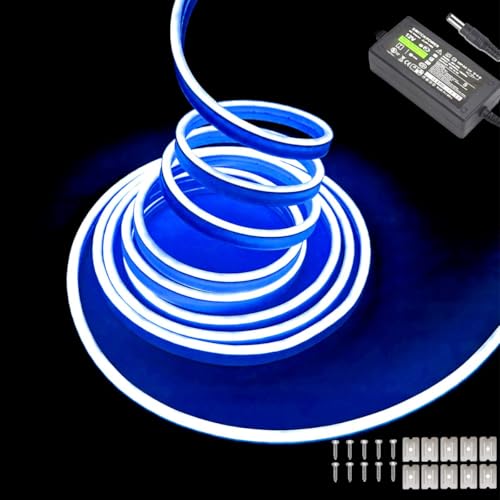 Balabaxer Blau Neon-LED-Streifenlichter, 16,4 Fuß/5 m 12 V DC 600 SMD2835 LEDs Wasserdichtes Lichtschlauch für Indoor Outdoor Home Decoration (mit Netzteil)
