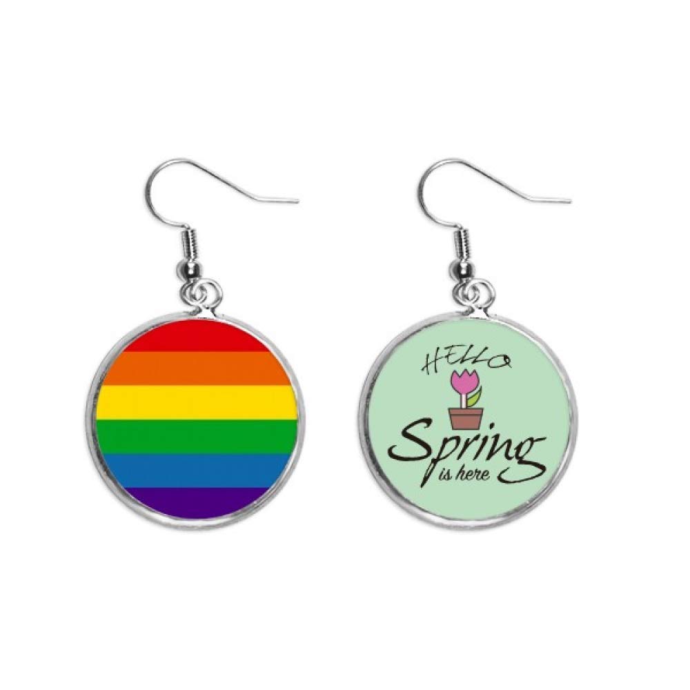 Pendientes de Primavera con Colgante Arcoíris LGBT y Joyas Bisexuales 5