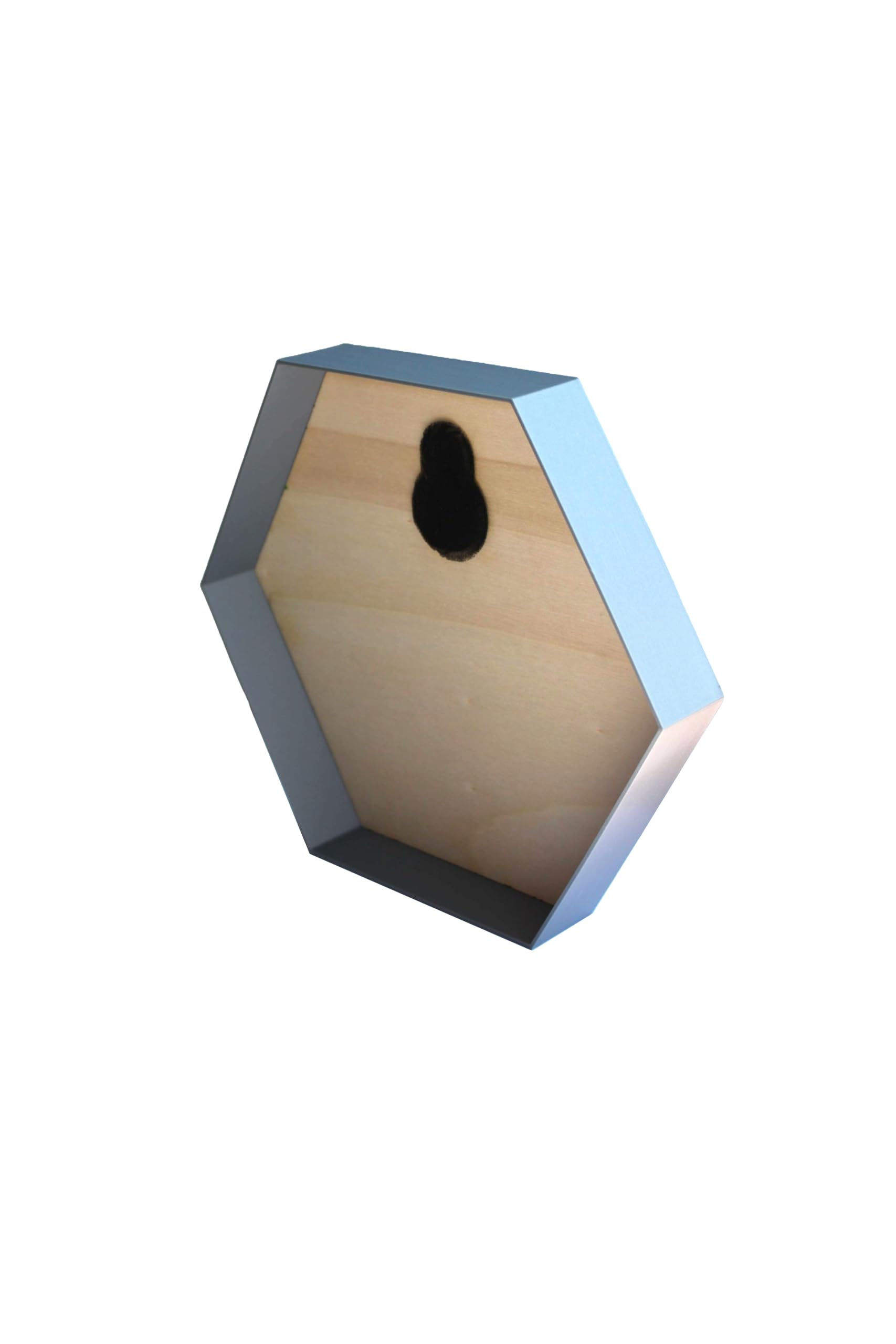 Hexagon Rahmen für Moosbilder - Sechseck - DIY Moosbild - Unterschiedliche Farben - Rahmen zum Befüllen