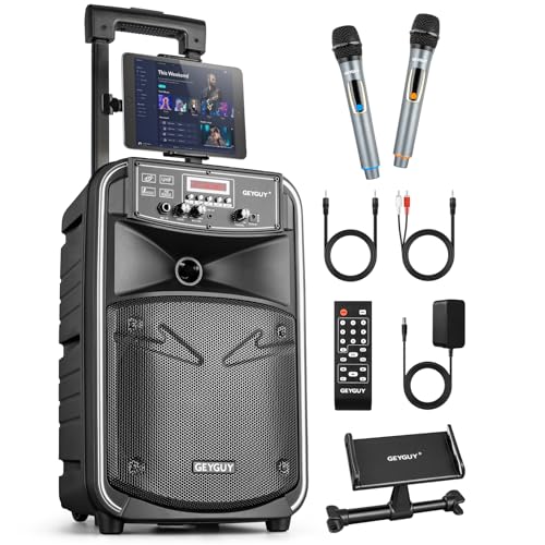 Altavoz PA portatil 8' con 2 microfono inalambrico, Potentes Karaoke Bluetooth Profesionales con Trolley para Adultos y niños Grabación DSP/Radio FM/USB/TWS/TV