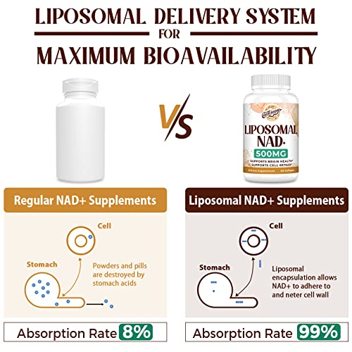 Image of Liposomal NAD+ 500 MG Supplement, True NAD Plus Supplement, Superior Absorption, Boost NAD+ More Efficient Than Nicotinamide Riboside for Cellular Energy, Healthy Aging, 240 Serving