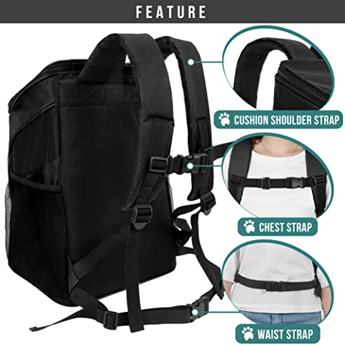 Petami Premium Pet Carrier Backpack For Small Cats And Dogs | Ventilated Design, Safety Strap, Buckle Support | Designed For Travel, Hiking & Outdoor Use (Black) #TOP3