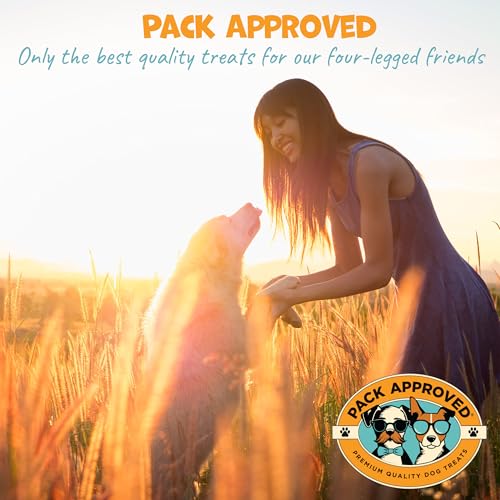 Pack Approved Chicken Sticks for Dogs - Dehydrated Chicken Jerky Treats. Single Ingredient Made and Sourced in America - High Protein, Low Fat - Crunchy Treat Sticks - 6.2oz