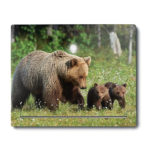Image of MightySkins Skin Compatible with Alienware X16 R1 (2023) Full Wrap Kit - Grizzly | Protective, Durable, and Unique Vinyl Decal wrap Cover | Easy to Apply, Remove, and Change Styles | Made in The USA
