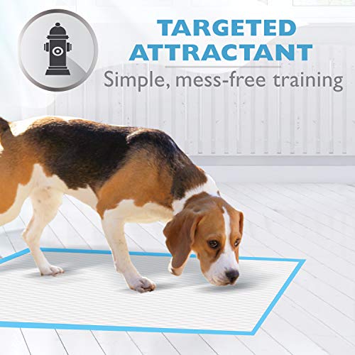 Image of Four Paws Pet Select Pee Pee Pads for Dogs and Puppies 14 Count Standard 22 inch x 23 inch | Leak-proof, 12 hour floor protection, quilted potty training pads, 5 layers, 22 inch x 22 inch