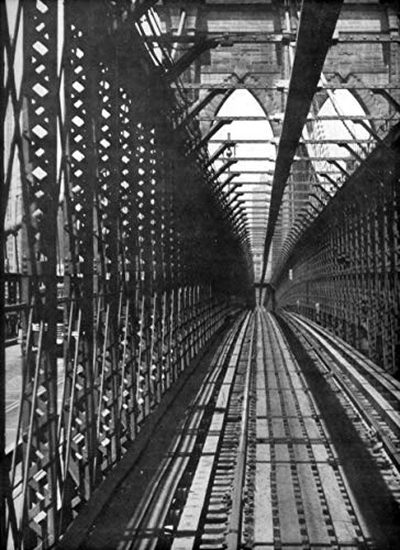 Image of The Bridges of New York (New York City)