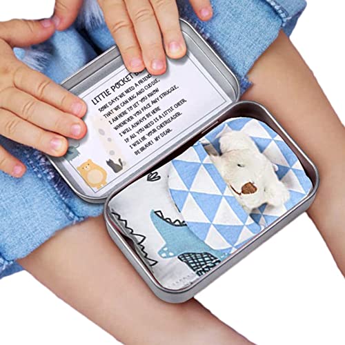 Kleiner Taschenbär – Kleiner Teddybär in Einer Schachtel aus Weißblech – Tierdekoration, Taschenbär, Kleiner Teddybär in Einer Box, Geburtstagsgeschenke