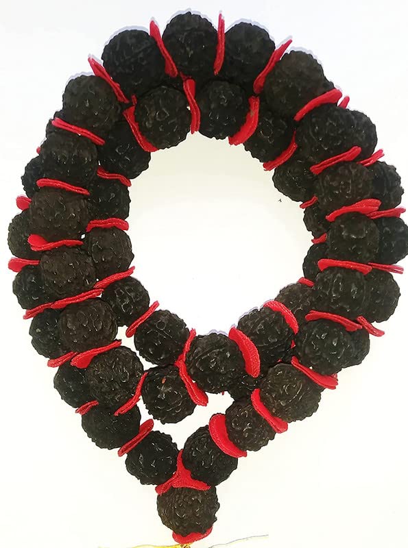 FIRMUS Black 5 Mukhi Rudraksh Kantha for Wearing and Worship/Rudraksh Mala Big/Five Faced Rudraksh Kantha Mala with Padding (Size: 17-20mm, Beads: 54+1) (B0BNNHQJ3P) Amazon Price History, Amazon Price Tracker