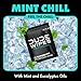 DUDE Wipes - On-The-Go Flushable Wipes - 1 Pack, 30 Wipes - Mint Chill Extra-Large Individually Wrapped Adult Wet Wipes - Eucalyptus & Tea Tree Oil - Septic and Sewer Safe