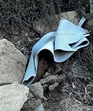 Janelle Lynch: Barcelona