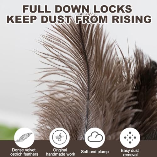 KEMUZ Plumero Atrapapolvo Telescópico Extensible, Plumero de Plumas con Mango de Plástico, Elimina el Polvo al Instante sin Productos Químicos, Perfecto para Limpieza Diaria en Casa y Oficina - imagen 3