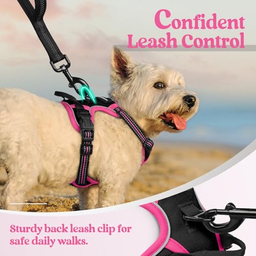 Image of rabbitgoo Dog Harness No Pull with 2 Leash Clips, Adjustable Soft Padded, Reflective Oxford No Choke Pet Vest with Easy Control Handle for Large Dogs, Black & Hot Pink, XS