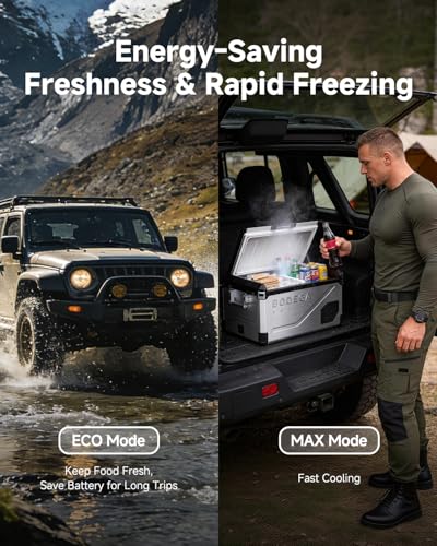 Image of BODEGA Portable 12V Car Refrigerator, 47QT Stainless Steel Fridge with Removable Divider for Dual Zone MAX /ECO Modes & Battery Protection, Electric Cooler for RV, Truck, Camping