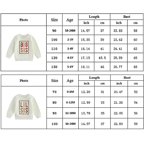 Dewadbow Roupas infantis para bebês outono inverno Big/Lil Bro/Sis blusa de manga comprida blusa top
