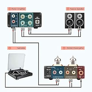 AIYIMA T3 Tube MM préamplificateur Phono préampli HiFi avec Gain préampli Audio stéréo pour Platine Vinyle Phono… - Les Beatles, Paul McCartney, John Lennon, RIngo Starr, George Harrison AIYIMA T3 Tube MM préamplificateur Phono préampli HiFi avec Gain préampli Audio stéréo pour Platine Vinyle Phono… – Image 5
