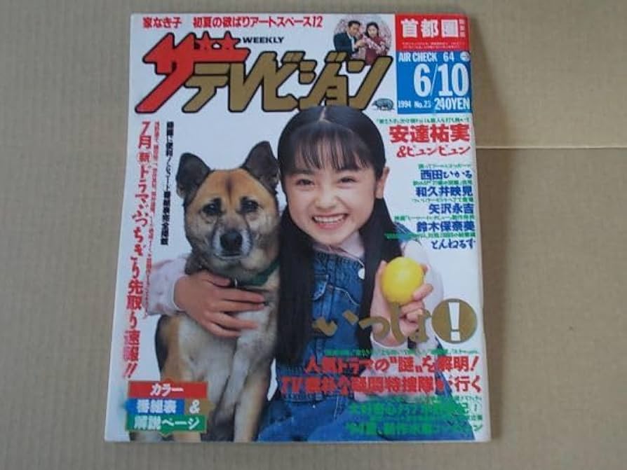 ザテレビジョン 2016 No.28 Gザテレビジョン vol.28 : G(グラビア)ザテレビジョン