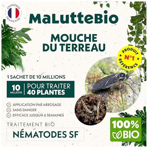 Nématodes Contre Les Mouches du Terreau 10 Millions - Traitement Bio Nématodes Longue Durée - Anti Mouches des terreaux - pour Traiter 40 Pots - Maluttebio