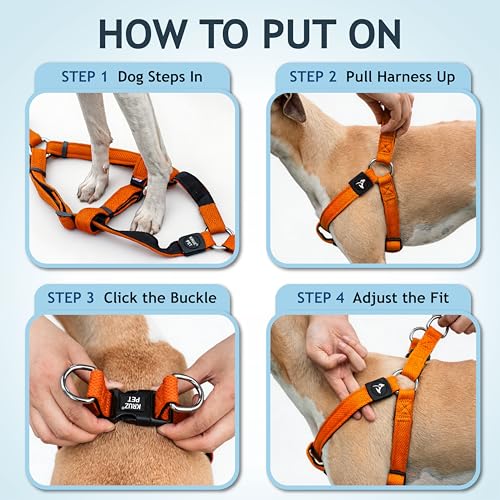 Kruz No Pull Dog Harness (Chest 21”-30”, Weight 23-53 lbs) Heavy-Duty Pet Harness for Medium Breeds, Ultra-Comfort Fit, Lifetime Durability, Adjustable Dog Harness No Pull Design (Orange, Medium) by KRUZ PET - Image 5