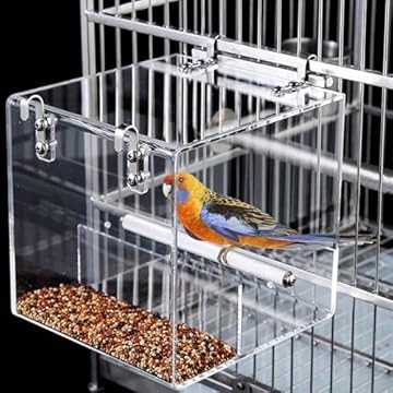 No Mess Bird Feeders That Will Change Your Feeding Experience Forever 2 no mess bird feeders