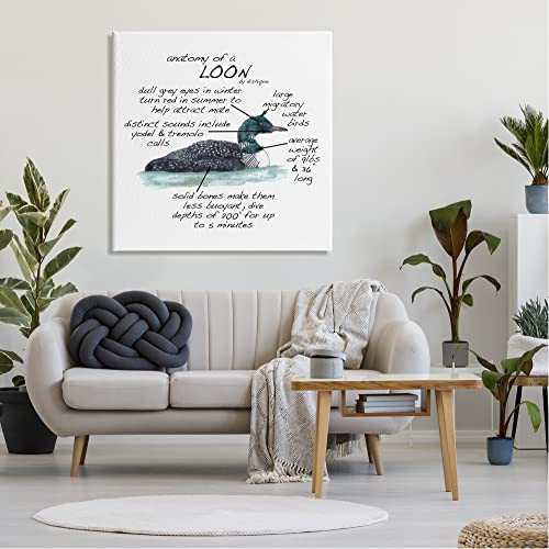 Image of Stupell Industries Loon Water Bird Anatomy Chart Educational Wildlife Facts, Design by Dishique, 36 x 36, Gallery Wrapped Canvas | Stupell Industries . By Dishique . Ready to hang . Educational wildlife decor . Made in USA