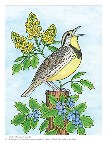Birds at Home Coloring Book, Revised Edition: Discover Interesting Facts About Cardinals, Robins, Bluebirds, and 30 More of Your Favorite Birds from USA and Canada (Design Originals) Perforated Pages - Image 3