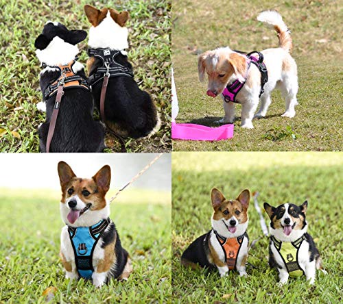 Image of PoyPet No Pull Dog Harness, No Choke Front Clip Dog Reflective Harness, Adjustable Soft Padded Pet Vest with Easy Control Handle for Small to Large Dogs(Orange,S)