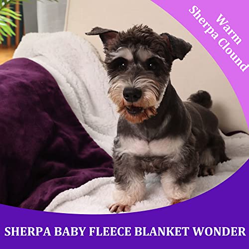 Nanpiper Baby Sherpa Blanket,Warm Toddler Throw Blanket,Soft Newborn Fleece Blanket For Winter (Purple,30X40 Inches) #TOP5