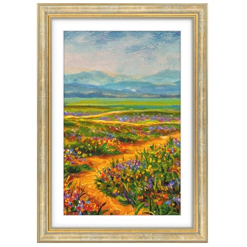 Golden State Art,13x19 Ornate Picture Frame Holds 11x17 Photo,Vintage Gold