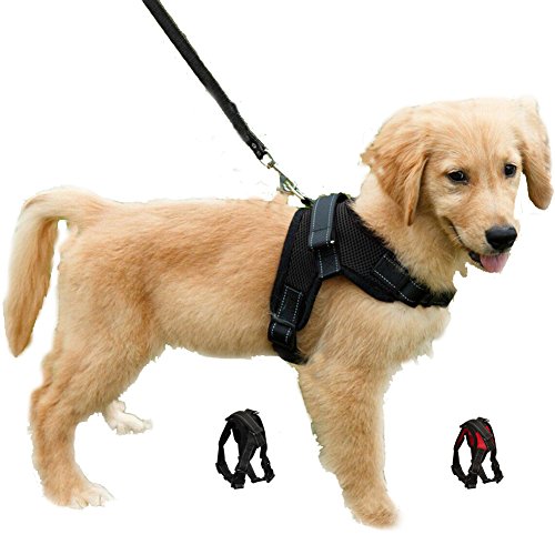 Dog Harness Adjustable No Pull Puppy Vest Harness Mesh Breathable Soft Padded Pet Chest Strap for Small Dogs (XS Black)