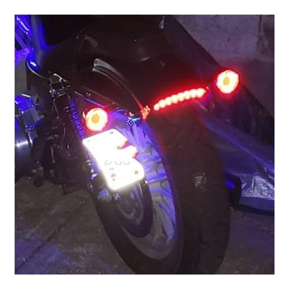 Luce Posteriore A LED da 12 V per Moto Montaggio Laterale Freno di Stop Segnalazione Marcia per Bobber E Chopper Luci Freno