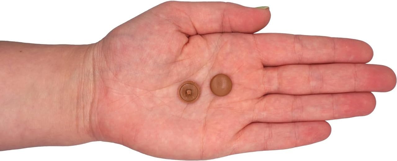 Generic (Pack of 250) Pozidriv Head Clip On Plastic Cover Caps Furniture Decorative Cap, Walnut Guaneri (S15)